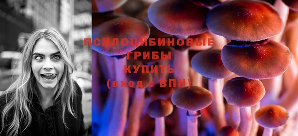 бутират Ростов