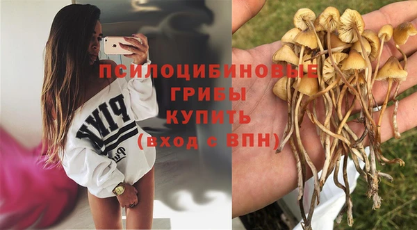 MDMA Россошь