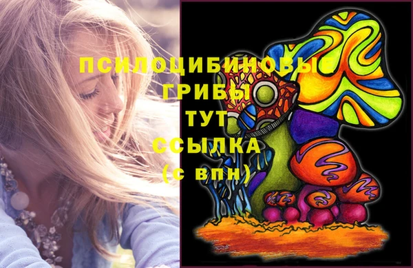 стафф Абаза