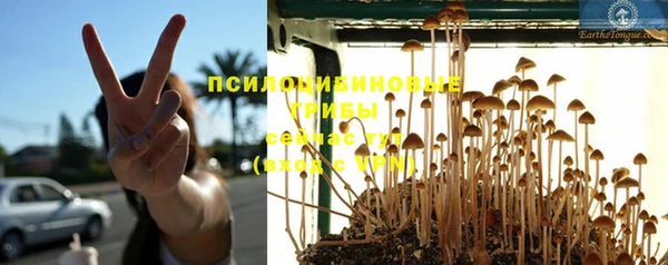 MESCALINE Рославль