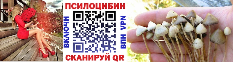 Галлюциногенные грибы прущие грибы  дарк нет Telegram  Инза 